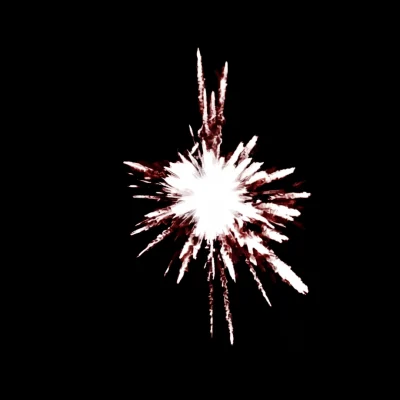 Single Shot